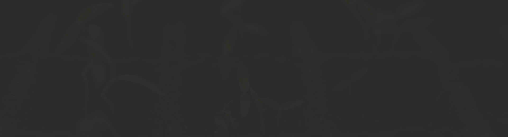 footer-bg